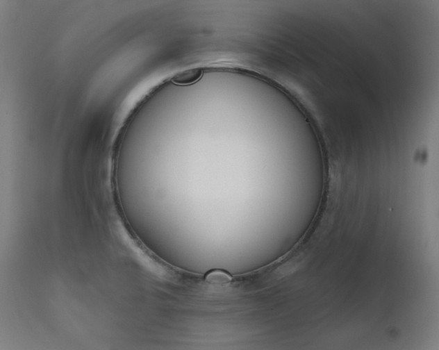 X0000111611424200907311128