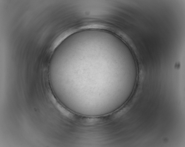 X0000111611425200907311128
