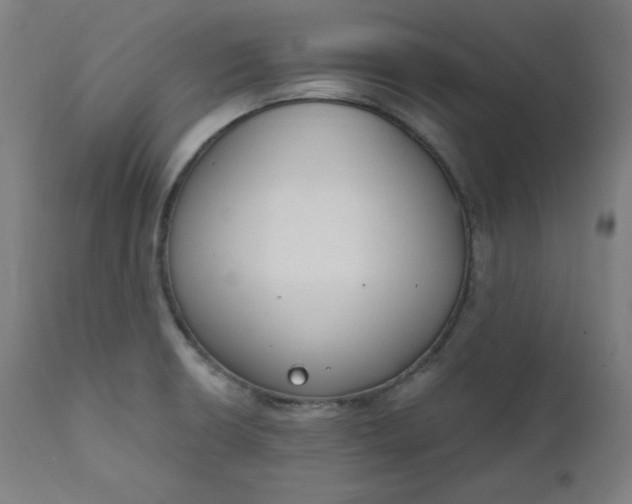 X0000111611426200907311128