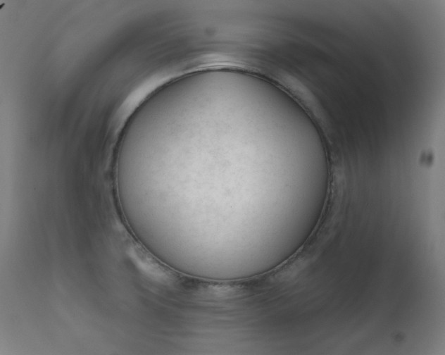 X0000111611427200907311128