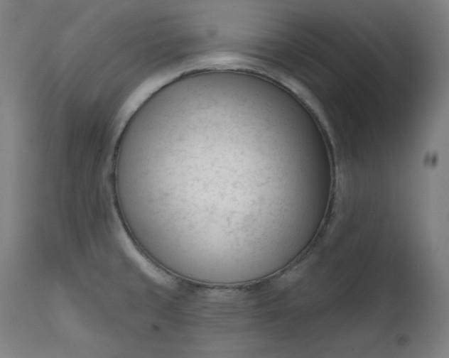 X0000111611429200907311128