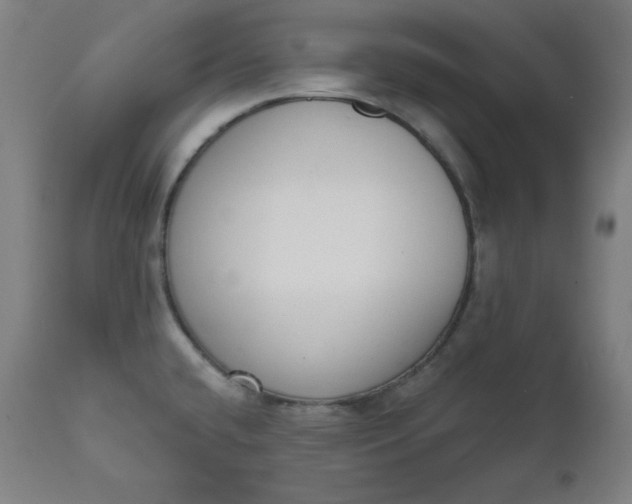 X0000111611432200907311128
