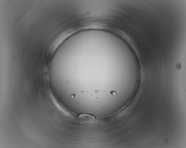 X0000111611433200907311128