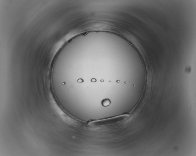 X0000111611434200907311128