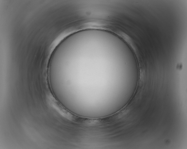 X0000111611435200907311128