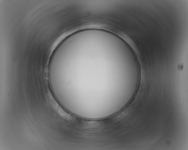 X0000111611436200907311128