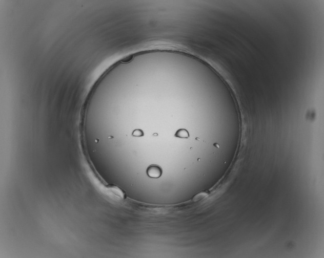 X0000111611438200907311129