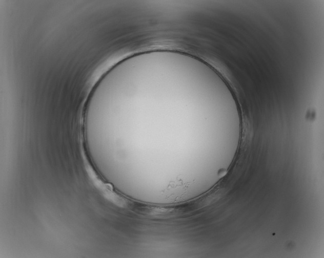 X0000111611439200907311129