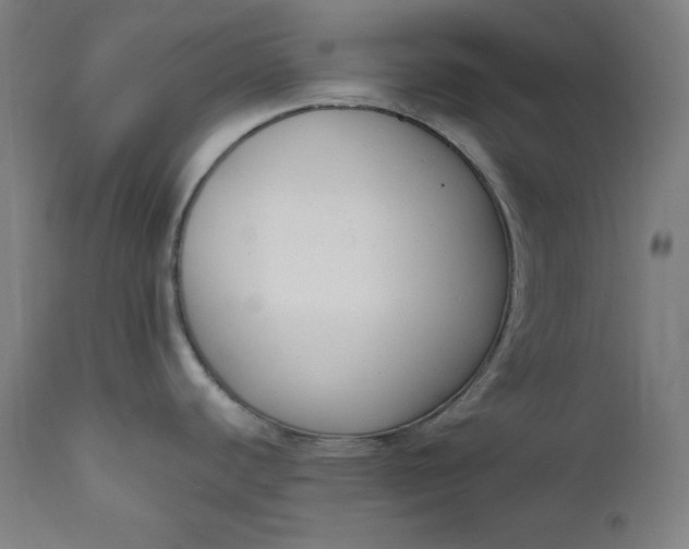 X0000111611440200907311129