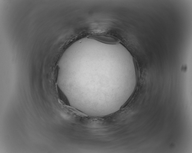 X0000111611441200907311128
