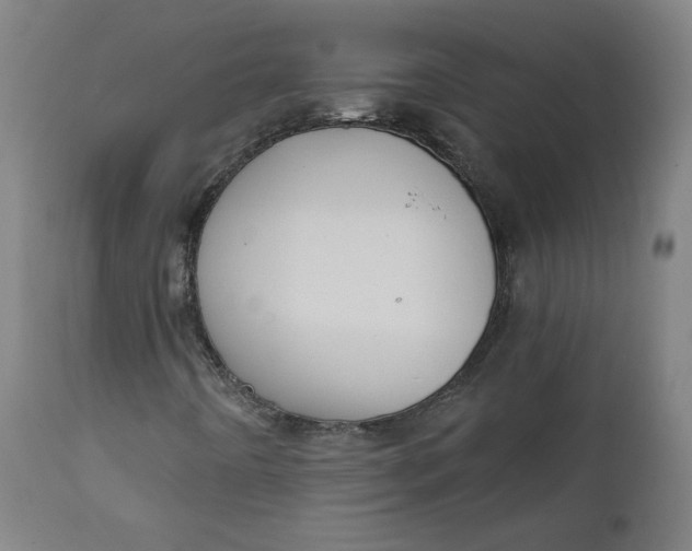 X0000111611442200907311128
