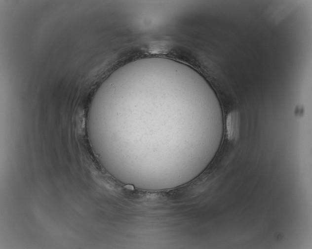 X0000111611443200907311128