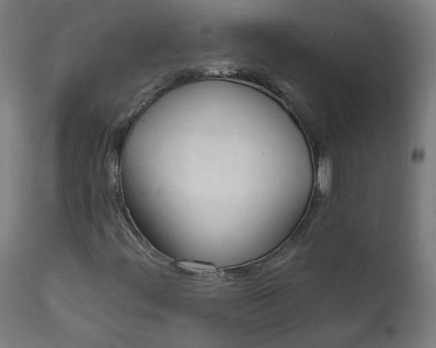 X0000111611444200907311128