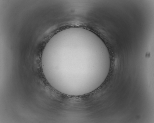X0000111611446200907311128