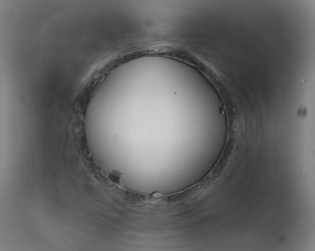X0000111611447200907311128