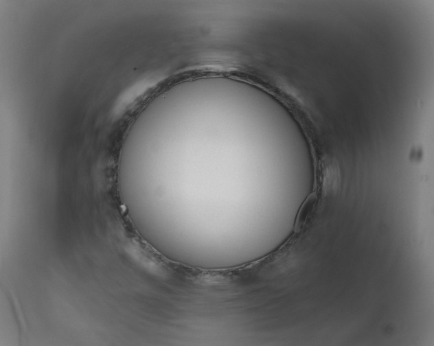 X0000111611448200907311128