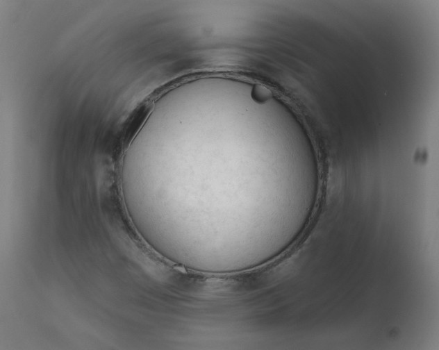 X0000111611449200907311128