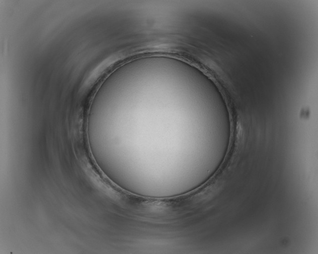X0000111611450200907311128