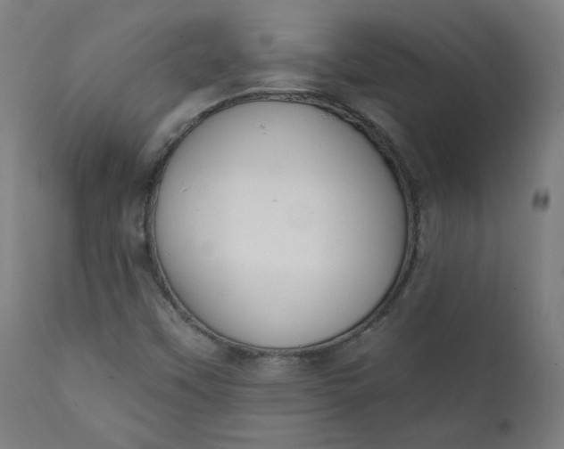 X0000111611451200907311128