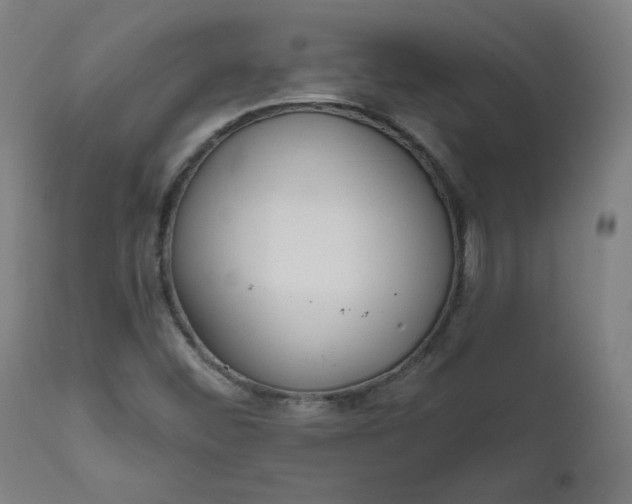 X0000111611452200907311128