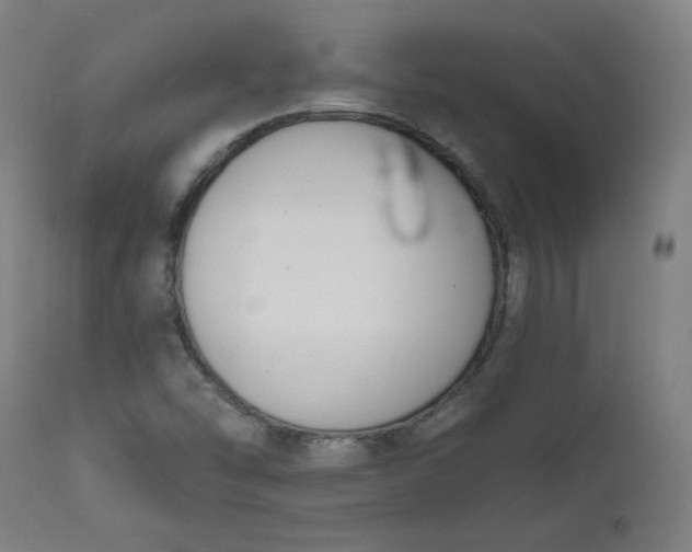 X0000111611454200907311128