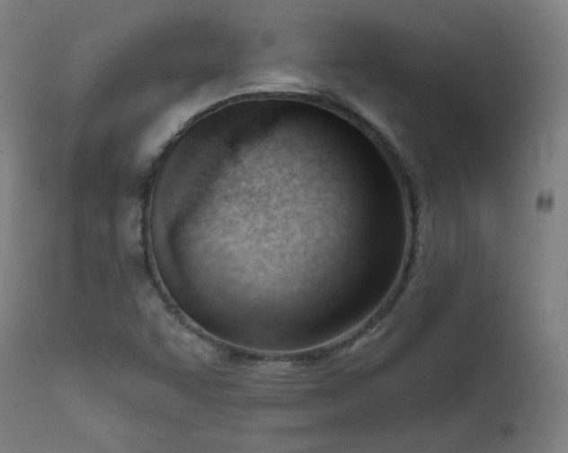 X0000111611455200907311128