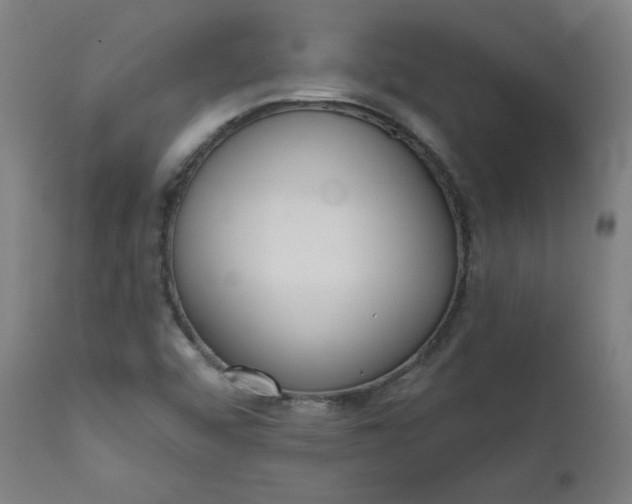 X0000111611456200907311128