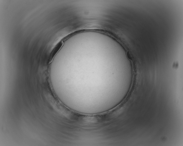 X0000111611457200907311128