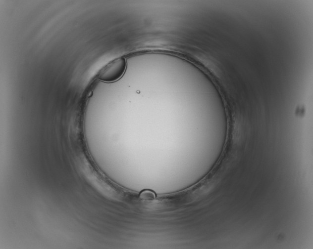 X0000111611458200907311128