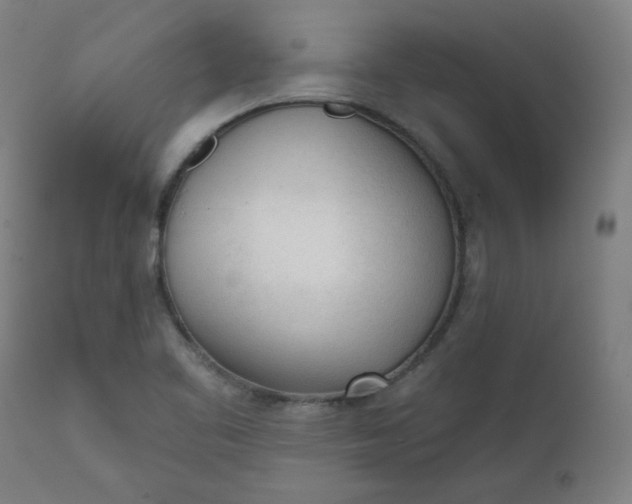 X0000111611461200907311128