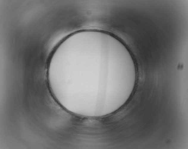 X0000111611462200907311128