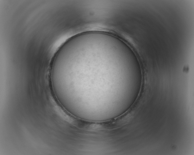 X0000111611463200907311128