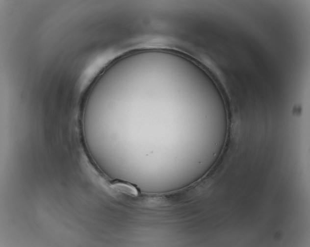 X0000111611464200907311128