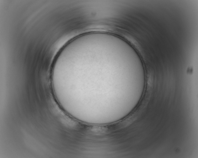 X0000111611466200907311128