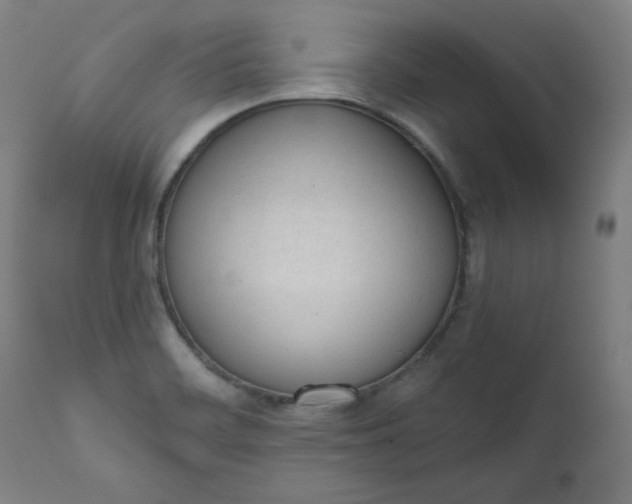 X0000111611468200907311128