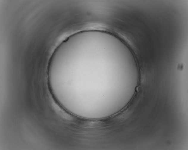 X0000111611471200907311127