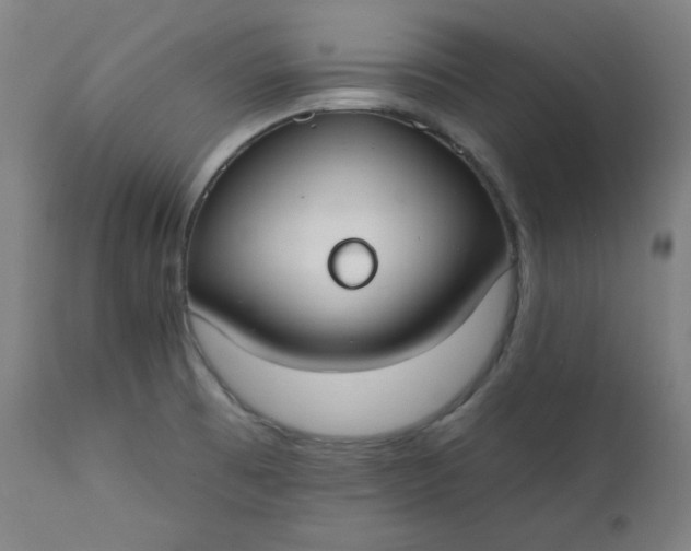 X0000111611473200907311127