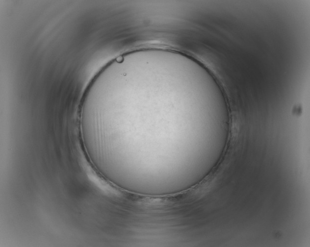 X0000111611474200907311127