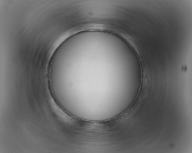 X0000111611475200907311127