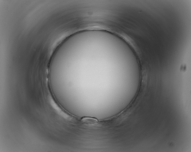 X0000111611476200907311127