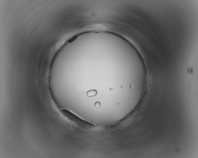 X0000111611477200907311127