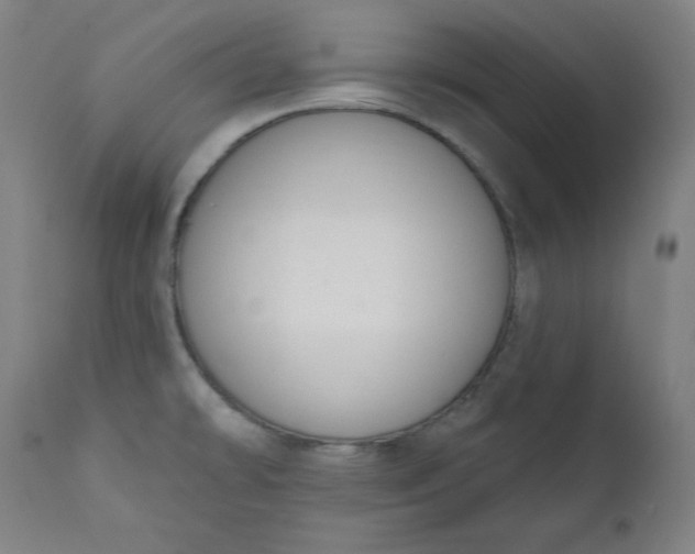 X0000111611478200907311127