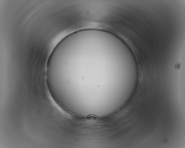 X0000111611479200907311127