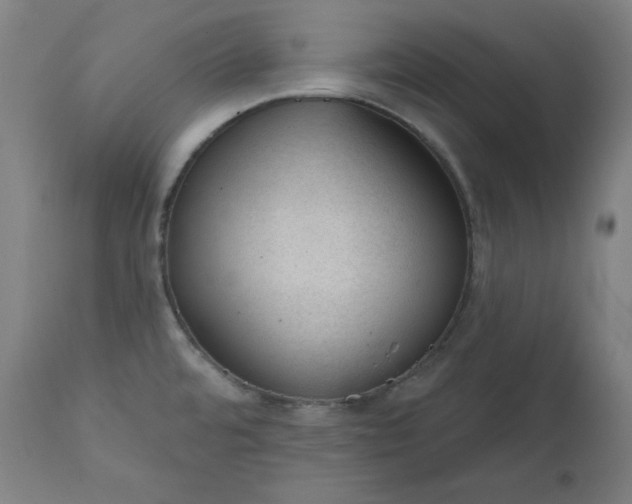 X0000111611480200907311127