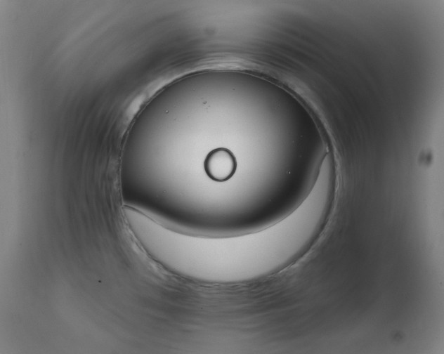 X0000111611481200907311127