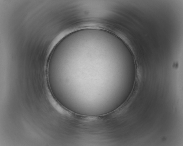 X0000111611482200907311127