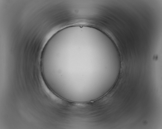 X0000111611483200907311127