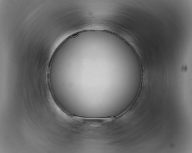 X0000111611484200907311127