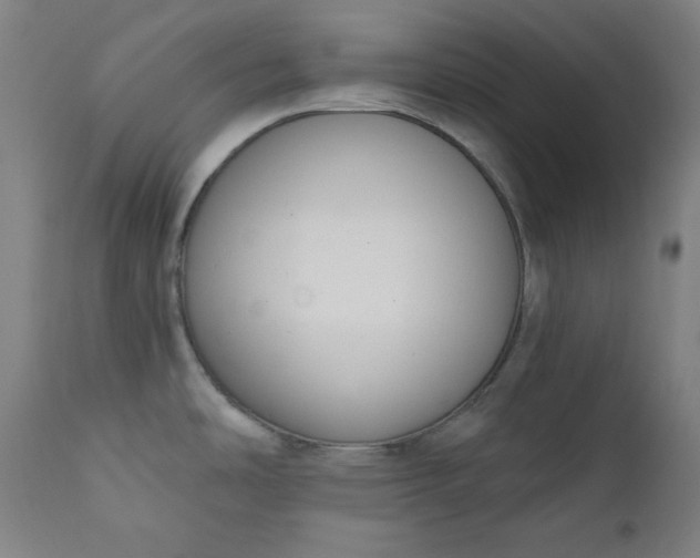 X0000111611486200907311127