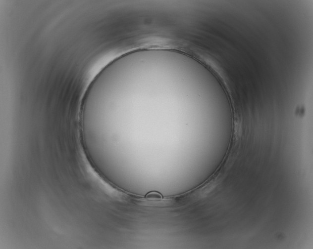X0000111611487200907311127